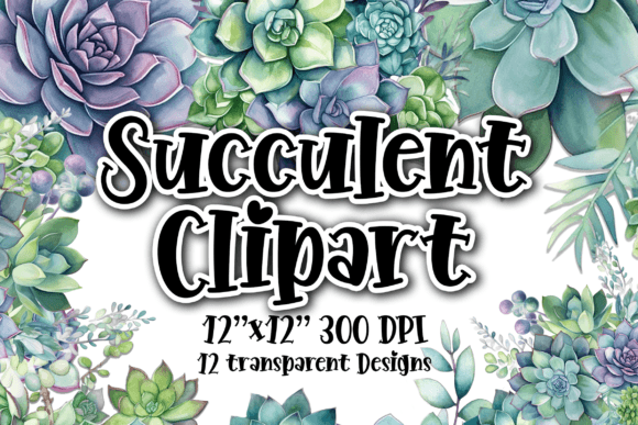 Download Succulents Clipart 10 Transparent PNGs - Transparent pngs Collection